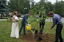 Нижегородцы примут участие в уходе за деревьями в парке Кулибина