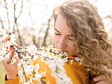 Академик Семенов предрек аномально теплую весну в Новосибирске