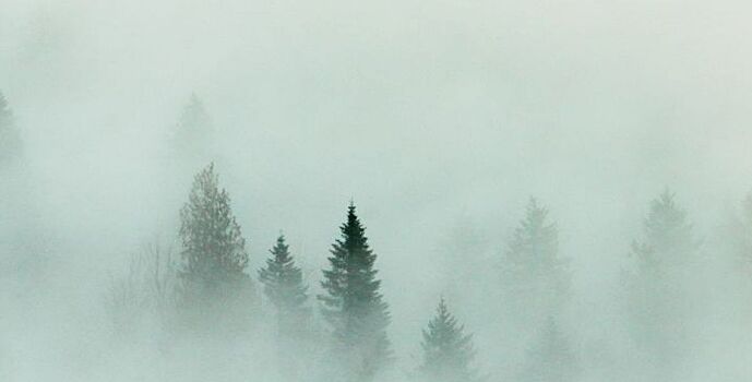 На Дону ожидается облачная погода с прояснениями