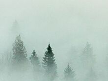 На Дону ожидается облачная погода с прояснениями