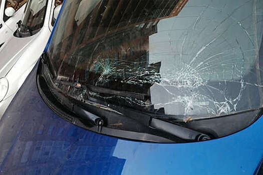 Упавшая с балкона собака разбила лобовое стекло машины и убежала