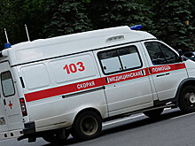 В Крыму иномарка вылетела в кювет: есть пострадавшие