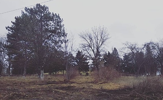 Территорию около новобейсугского кургана Славы очистили от растительности