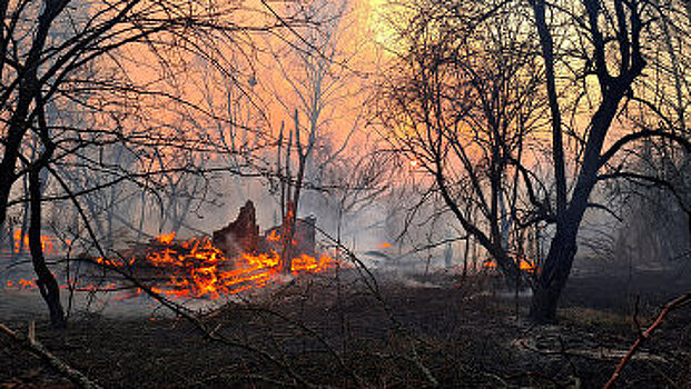 Такого еще не было: воздух в Киеве стал невероятно опасным, смог идет на другие города (Главред, Украина)