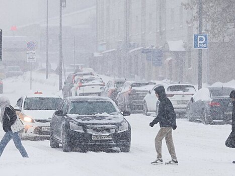 Синоптик Шувалов: пришедший в столицу циклон правильно называть "Южным"