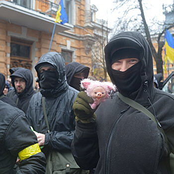 Ермолаев: Праворадикальные структуры примут участие в переделе власти на Украине