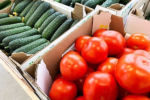 Специалист рассказал, какие овощи в российских магазинах скоро могут подешеветь
