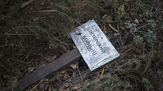 Около 70 человек погибли или пострадали при подрыве мин в Донбассе за 12 месяцев