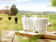 В Ярославской области открылась молочно-товарная ферма на 3,6 тыс. голов