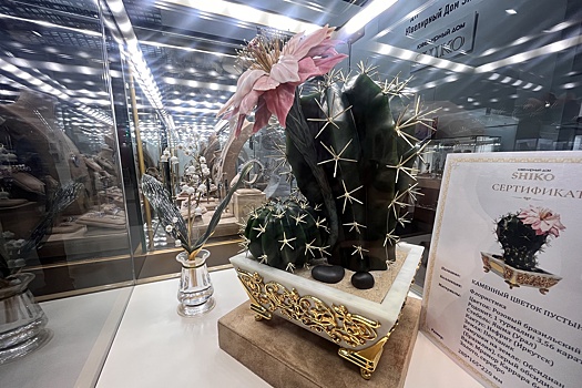 В Гостином Дворе открылась выставка "Уникальная Россия"