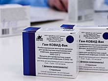 ФРГ попросила Еврокомиссию закупить "Спутник V"