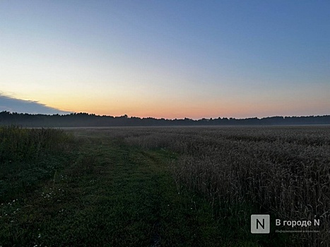 Поселок Сосновка исчезнет с карты Нижегородской области