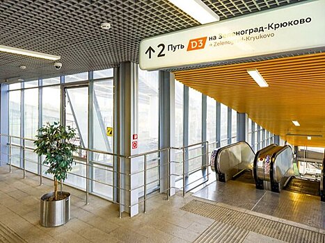 Десять маломобильных пассажиров прошли обучение с собакой-проводником в столичном метро с начала года