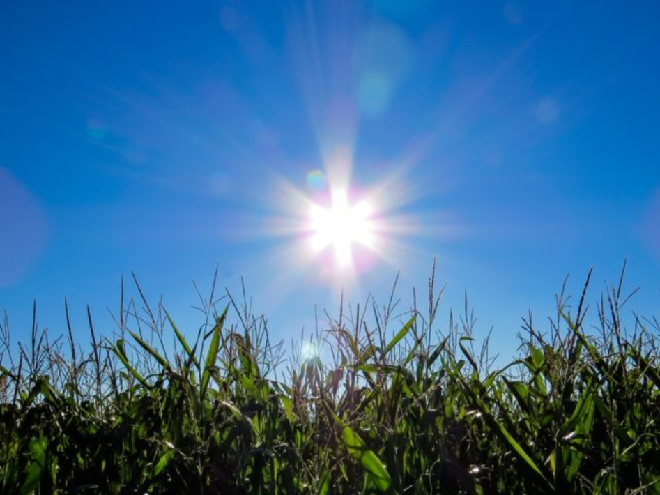 Переменная облачность. Голубое небо и солнце. Переменная облачность. Облачно летом. Солнце.