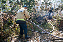 Совет при Рослесхозе призвал создать новый орган по борьбе с пожарами