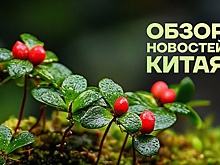 Обзор новостей Китая. Биоразнообразие Юньнани