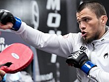 Обновлённый рейтинг UFC: Умар Нурмагомедов поднялся на одну строчку