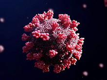 «Доказывает непредсказуемость коронавируса». Что известно о новом штамме