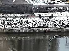 Из канала в Петербурге вытащили маленькую девочку