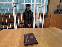 Виновника смерти 2-летнего мальчика отправили в СИЗО в Новосибирске