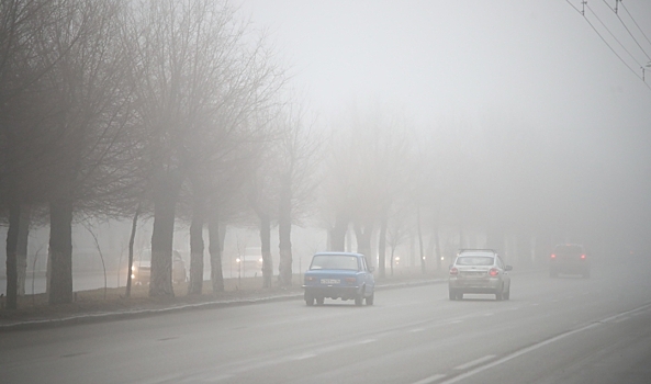 Жителей Волгоградской области предупреждают о ночных заморозках