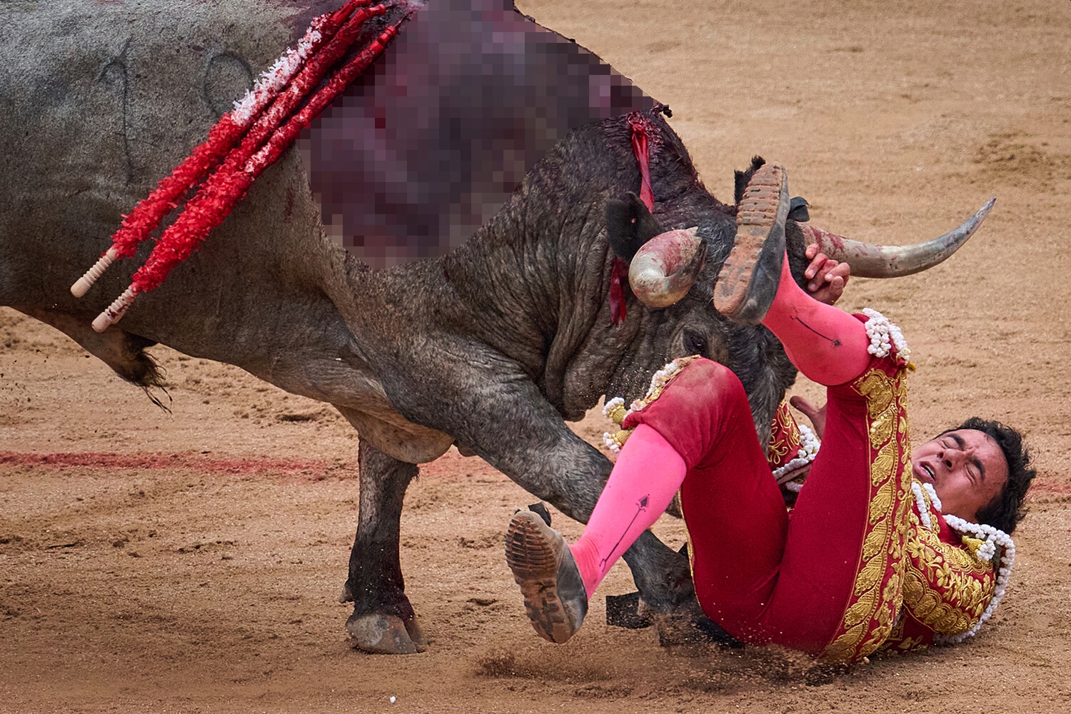 Бык разорвал пах тореадору, насадив его на рог