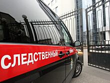 Снимавшего порно со школьницами депутата от КПРФ лишили мандата