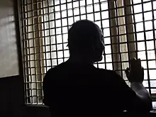 Педофила осудили на 23 года за 35 эпизодов насилия над детьми