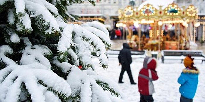 Москвичей ждёт самая холодная зимняя ночь