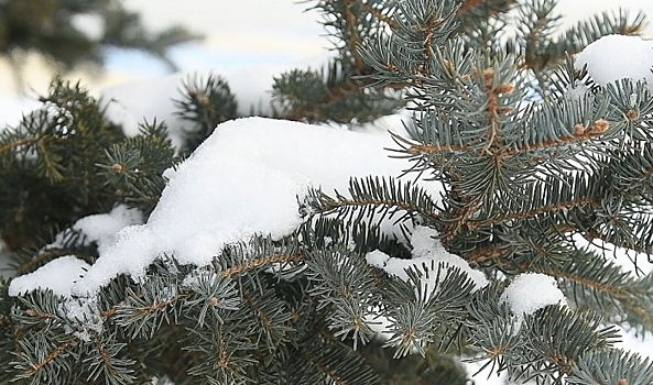 Ночной 17-градусный мороз накроет Волгоградскую область 24 декабря