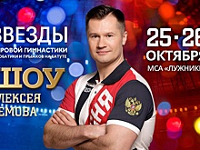 Спортивно-театрализованное шоу Алексея Немова