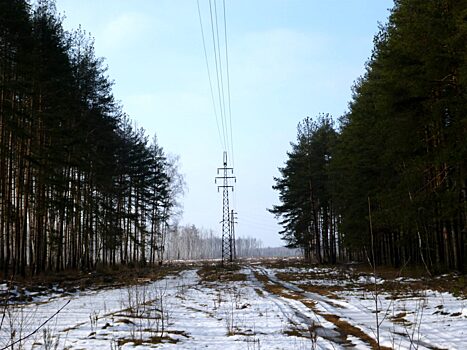 Первая воздушная линия «Классон – Большой Двор» на востоке Подмосковья работает 105 лет