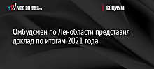 Омбудсмен по Ленобласти представил доклад по итогам 2021 года