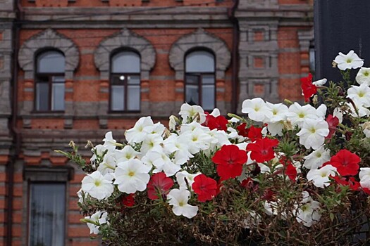Погода в Хабаровском крае 26 сентября: кратковременные дожди на севере