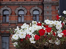 Погода в Хабаровском крае 26 сентября: кратковременные дожди на севере