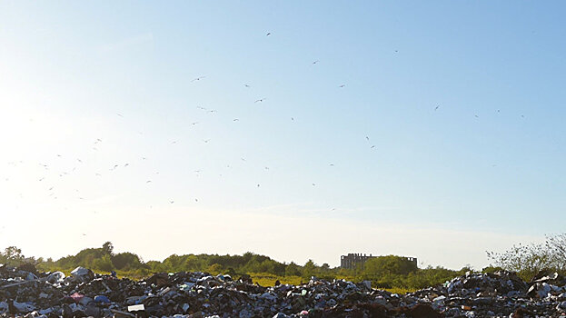 Шикарный вид: как выглядит сухумская свалка сверху