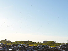 Шикарный вид: как выглядит сухумская свалка сверху