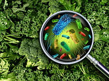 Врач назвала самые опасные для здоровья овощи