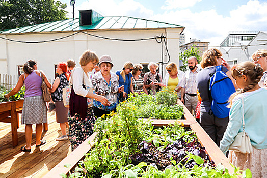 Первый в России тактильный сад откроется в «Аптекарском огороде» в понедельник