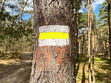 Началась маркировка единственной на Урале кольцевой велопешеходной тропы