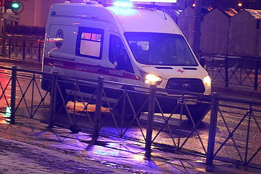 Четыре человека погибли при столкновении пикапа с «Уралом» на российской трассе