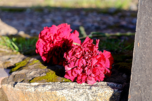 В российском регионе вандалы осквернили дестяки могил на кладбище