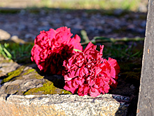 На 34-м году жизни скоропостижно ушла из жизни российская журналистка