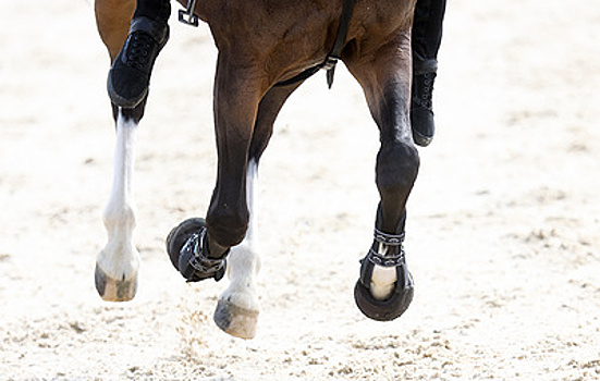 Еще шесть российских всадниц получили нейтральный статус