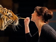 100 лет под куполом: в Москве открылась выставка в честь юбилея российского цирка