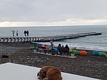 Мэр Сочи заявил об отсутствии мазута в море перед крещенскими купаниями