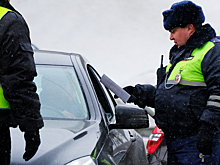 В России задержана банда автомошенников