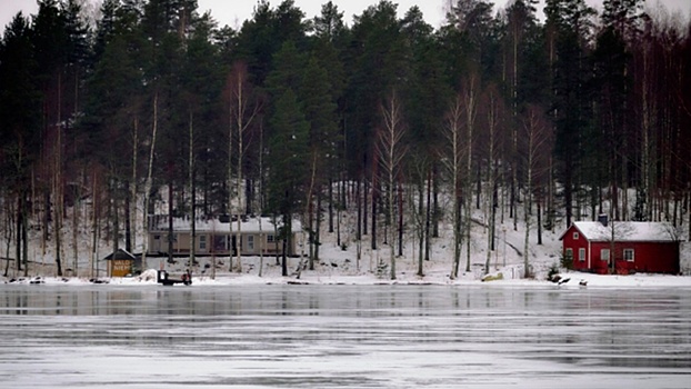В Финляндии 160 тысяч домов остались без света из-за снежной бури