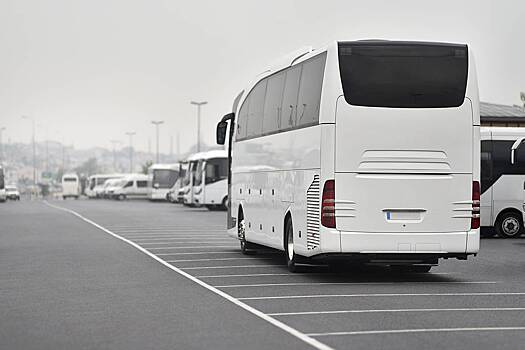 «Весь автобус сгорал от стыда». Блогер описал пенсионерок в путешествиях