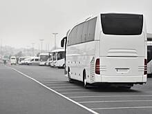 «Весь автобус сгорал от стыда». Блогер описал пенсионерок в путешествиях